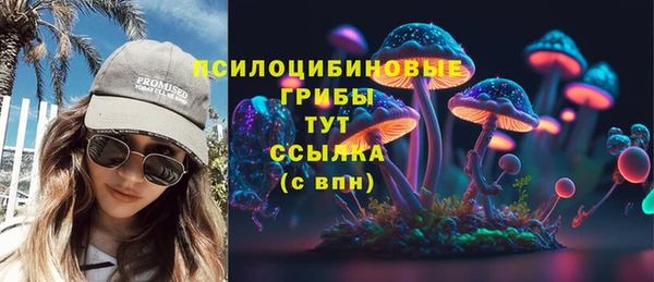 марки nbome Белокуриха